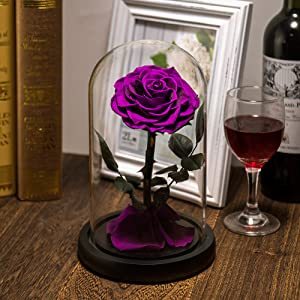 Dôme de verre magnifique, 7-8 cm, D12 H20, fausses fleurs romantiques, couleur violette, pour <span class=keywords><strong>la</strong></span> <span class=keywords><strong>belle</strong></span> <span class=keywords><strong>et</strong></span> <span class=keywords><strong>la</strong></span> bête - Product Image 3
