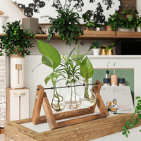Support de terrarium en bois moderne et écologique pour la décoration de jardin, avec vase en verre pour plantes aériennes et support métallique pivotant à 3 ampoules