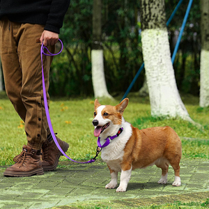 उच्च गुणवत्ता वाले निर्माता नायलॉन कुत्ते कॉलर कस्टम डिजाइनर समायोज्य वाटरप्रूफ कुत्ते प्रशिक्षण कोलार्स आउटडोर चलने के लिए - Product Image 5