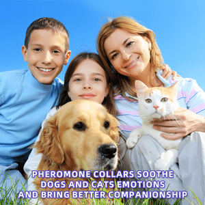 Verstelbare kattenkalmerende feromoonhalsband met effen patroon, natuurlijke ingrediënten, TPR-materiaal, vermindert angst - Product Image 5