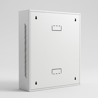 Boîtier de jonction mural extérieur étanche IP20 19 pouces en acier SPCC avec revêtement électrostatique SYNSTRO CE RoHS ISO