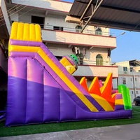 Toboggan aquatique gonflable en gros avec piscine, toboggan en PVC durable de qualité commerciale pour enfants et adultes, parc aquatique extérieur