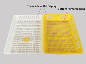 Jaula de transporte de pollo vivo Caja de rotación de pollitos Caja de transporte de plástico para aves de corral para pato Pollo <span class=keywords><strong>Paloma</strong></span> - Product Image 3