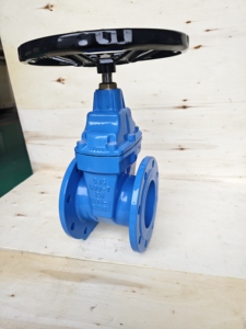 Vanne à opercule à siège élastique en fonte ductile Ggg50 DN125 DIN3352 F4 PN10 PN16 PN25 - Product Image 5