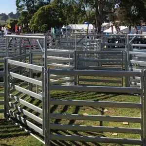 steel cattle crushes and Cattle Yards round bars with small gap Livestock Equipment 40x40mm