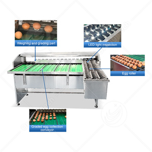 Chuyên nghiệp hoàn toàn tự động nhỏ trứng nhỏ phân loại phân loại quá trình dòng quy mô học sinh lớp SORTER cân trứng máy - Product Image 5