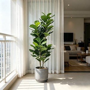 Fiddle-leaf fig – Modern Faux Green <b>Plant</b> for Living Room Decor - Product Image 6