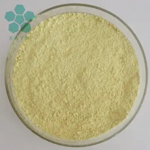 Migliore qualità di zenzero estratto di materia prima organico succo di zenzero in polvere succo di zenzero