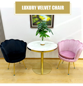 Thoải Mái Đa Năng Hình Dạng Vỏ Nhung Mall Nail Mặc Quần Áo Trang Điểm Vanity Ghế Ghế Nhà Hàng Ăn Uống Ghế Cho Phòng Khách - Product Image 2