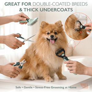 Wholesale Comb <b>Brush</b> Nail Clippers Collapsible Bowl Ttoothbrush Cat Dog <b>Pet</b> Grooming Tools - Product Image 5