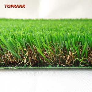 Máquina de cepillo de limpieza para césped <span class=keywords><strong>Artificial</strong></span>, barredor de césped de alta calidad - Product Image 2