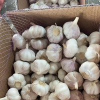 Ail Frais en Gros, Sacs de 10 kg et 20 kg, Ail Chinois, Taille 5.0 cm, Ail Rouge/Blanc