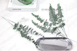 ขายส่งงานแต่งงานตกแต่งกลางแจ้งใบประดิษฐ์ยูคาลิปตัส - Product Image 3
