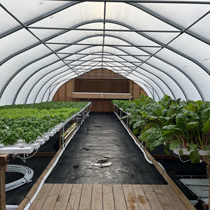 Commercial Agricultural Double Layer Greenhouse Hot Galvanized Steel <b>Frame</b> 150/200 Micro PE Film Roof and Side Plastic Cover - Product Image 4