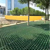 Grilles de gazon en HDPE, tapis de stationnement pour gazon, pavés de gazon pour allées, directement de l'usine