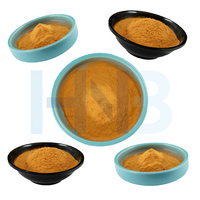 Poudre de Momordica Charantia HNB Factory 99% Qualité Garantie Extrait de Melon Amer pour Ingrédients de Compléments Alimentaires