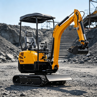 Pompe hydraulique pour mini-excavatrice diesel, idéale pour les petits travaux de terrassement et de remise en état des espaces verts.