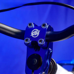 Bicicleta de Equilibrio Infantil Popular 2026, 12/16 Pulgadas, Motor de 650W, Batería de Iones de Litio de 36V 5.0Ah para BMX Todoterreno, Venta al Por Mayor OEM, Juguete V2 2026 P - Product Image 5