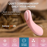 Höschenvibrator Damen tragbares Mini-Vibro Erwachsenenspielzeug Klitoris-Stimulator Fernbedienung Vibrierender Massage-Spielzeug für Damen