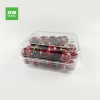 Vente en gros Boîte en plastique jetable pour la nourriture pour gâteau Chocolat Cookie Cupcake Bonbons Dessert Pâtisserie Muffin Sushi Case