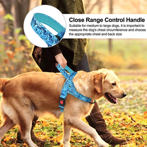 Arnés de Nailon Ajustable y Acolchado Ecológico <span class=keywords><strong>para</strong></span> Perros, Chaleco de Entrenamiento Resistente <span class=keywords><strong>para</strong></span> Pasear Mascotas, <span class=keywords><strong>para</strong></span> <span class=keywords><strong>Pitbull</strong></span> y Bulldog - Product Image 3