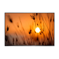 17-Zoll-LCD-Bildschirm 2560x1600 IPS-Display mit 40-Pin-EDP-Schnittstelle