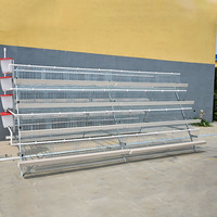 Cage à poules pondeuses en batterie pour l'élevage de poulets, équipement d'alimentation pour volailles, cages à poules à étages