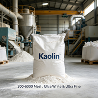 Metakaolin, argile de kaolin calciné pour béton, ciment, matériau pozzolana de haute résistance, fournisseur de qualité construction