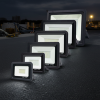 Projecteur LED Économiseur d'Énergie pour Distributeurs, Étanche IP66 pour Extérieur, Jardin, Cour, Garage 30W 50W 100W 150W 200W 300W