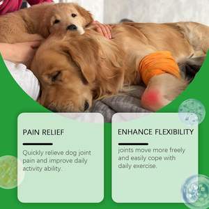 Suplemento de Glucosamina y Condroitina para Perros - Masticables Blandos Sin Granos de Rápida Absorción para Aliviar el Dolor de Cadera y Articulaciones - Product Image 4