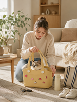 Sac de transport portable pour chat, respirant et pliable, approuvé par les compagnies aériennes, sac à dos de transport pour animaux de compagnie, fabricant OEM ODM