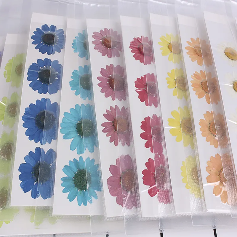 Natural Dried Daisies diy Pressed Chrysanthemum Flowers for Resin Soap Art Decors