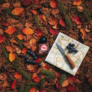 Perfume <span class=keywords><strong>en</strong></span> Spray con Aroma Fresco a Jazmín para <span class=keywords><strong>Mujer</strong></span>, Mini MIST Moderno de Tamaño Regular, Bruma Corporal de Larga Duración para Todas las Ocasiones - Product Image 5