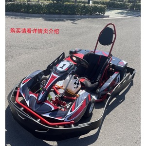 <span class=keywords><strong>Karting</strong></span> de Competición para Adultos, Vehículo de Gasolina de Cuatro Ruedas, Coche de Derrape Individual/Doble, Coches de Choque para Áreas Panorámicas/Campo, 200cc - Product Image 3