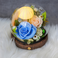Lovebay Cadeau de Noël et de la Fête des Mères Fleurs éternelles avec lumière LED Rose éternelle conservée sous cloche en verre