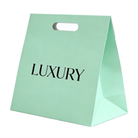 Sacs cadeaux de luxe haut de gamme personnalisés en carton ivoire écologique et recyclable pour cosmétiques et soins de la peau, avec impression offset et ruban