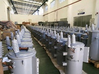 Transformador de Potencia Monofásico de Baja Tensión de 11kv 40kva Sumergido en Aceite para Montaje en Poste