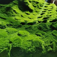Herbe artificielle EG-G496 bricolage gazon de pelouse écologique longue durée plante verte décoration aménagement paysager herbe filamenteuse