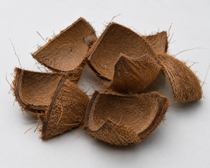 Charbon de coco pur biologique de qualité supérieure à haute teneur en carbone pour la purification et la filtration de l'eau - Product Image 3