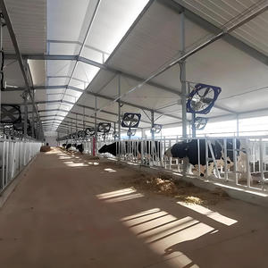 Atelier en structure métallique pour <span class=keywords><strong>abattoir</strong></span> avicole en Arabie Saoudite, emplacement du projet - Product Image 4