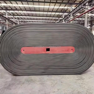 Bande transporteuse en caoutchouc <span class=keywords><strong>EP</strong></span> ignifuge pour l'équipement de transmission de matières premières dans les mines souterraines de charbon - Product Image 6