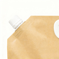Sac d'emballage en papier kraft liquide pour shampooing biodégradable écologique imprimé sur mesure, pochette debout avec bec verseur