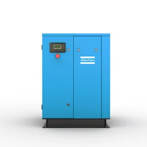 Factory new model portable dual usage Atlas Copco fixed frequency 220v air compressor 11 kw