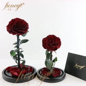 Set regalo di rosa incantata nuova bellezza conservata e la bestia rosa per San Valentino - Product Image 5