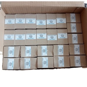 Maxon Motor 224864 DC Bürstenloser Motor Schweizer Herstellung - Product Image 5