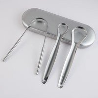 Ensemble de gratte-langue en acier inoxydable de haute qualité pour adultes, amélioration de l'hygiène, élimination de la mauvaise haleine, outil de soin buccal