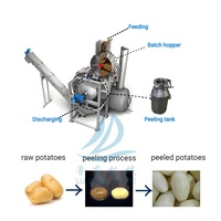 Hoog Efficiënte Geoptimaliseerde Automatische 304 RVS 2-6 Ton/uur Wortel Tomaat Aardappel Fruit Groente Stoomschilmachine