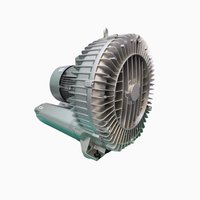 Souffleur annulaire à canal latéral 18,5 kW/21,3 kW, fabricant chinois, CE IP55, pour l'aquaculture