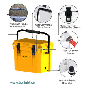 Nevera Portátil Aislada de 9.5L para Alimentos, Cerveza, Playa, Camping, Picnic, con Asa, para Vacunas, Plástico, Precio Bajo en Promoción - Product Image 3