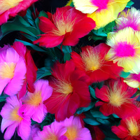 Baguette magique de haute qualité, bâton de couleur, effet de rétrécissement, pour faire apparaître des fleurs, des tournesols, accessoire de magie pour femme, tours de magie, illusions, gadgets, spectacle de bar
